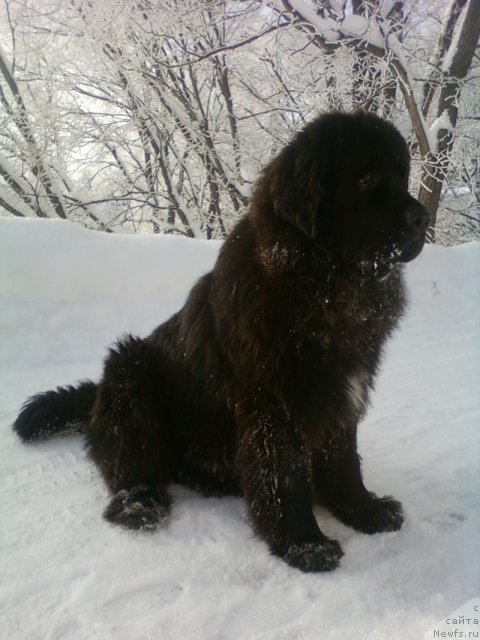 Фотография № 115413