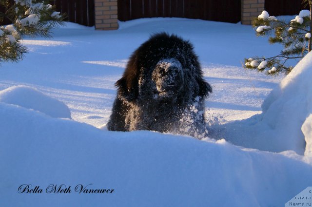 Фотография № 115417