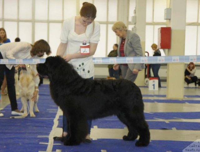 Фотография № 115445