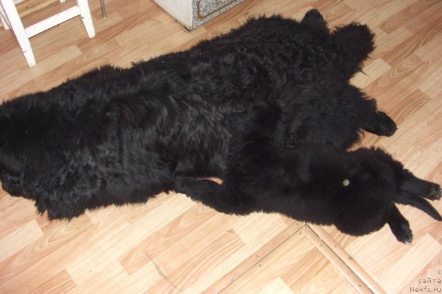 Фотография № 115456