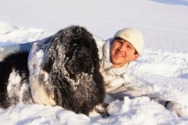 медвежий яр 1