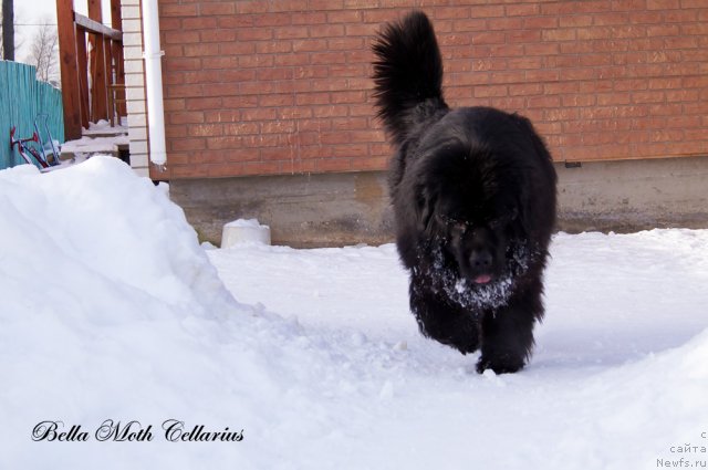 Фотография № 115476