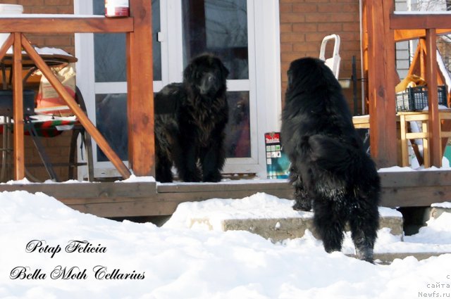 Фотография № 115477