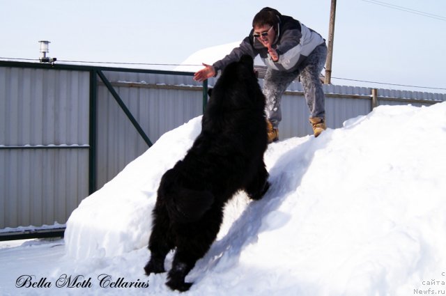 Фотография № 115486