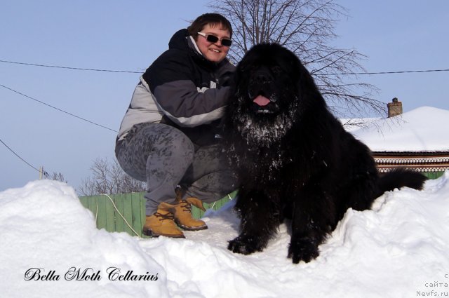 Фотография № 115488