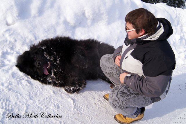 Фотография № 115490