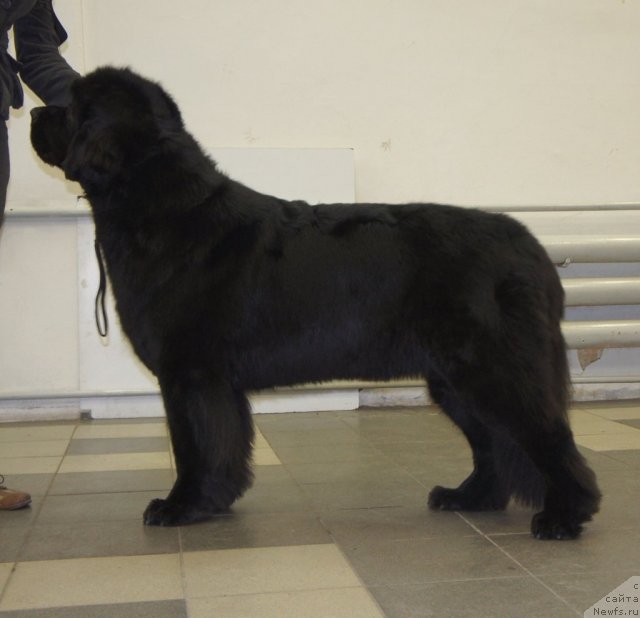 Фотография № 115508