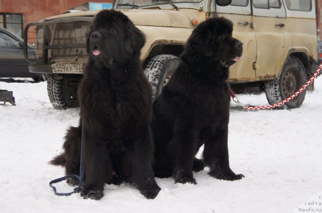 Фотография № 115510