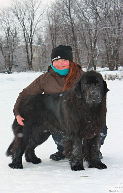 Фотография № 115514