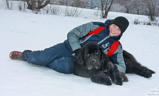 Фотография № 115516