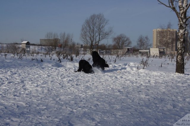 Фотография № 115567