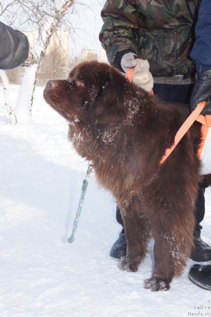 Фотография № 115573