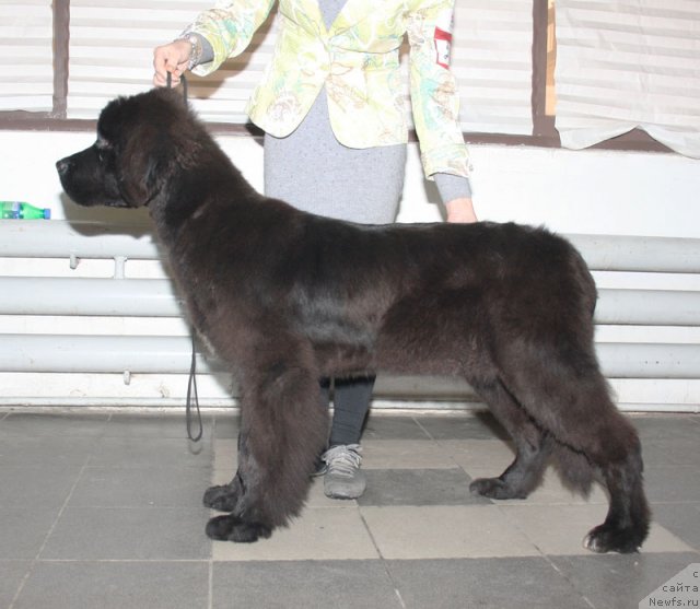 Фотография № 115577