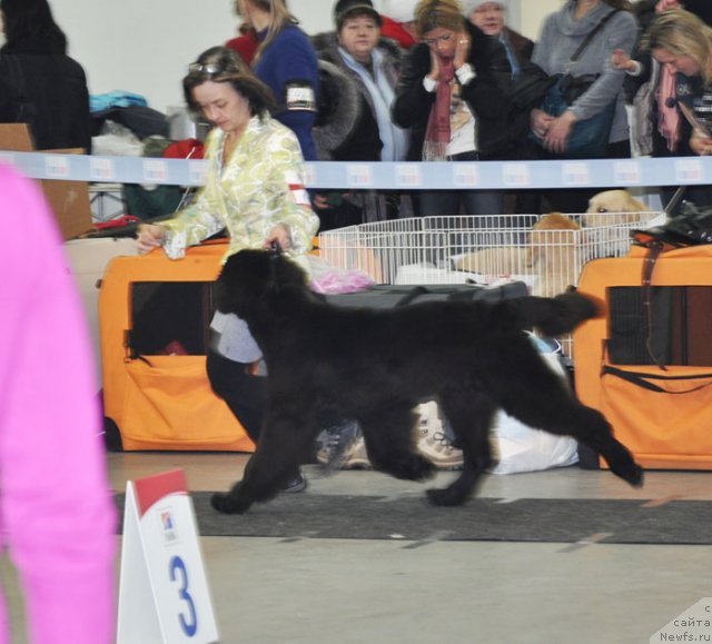 Фотография № 115578