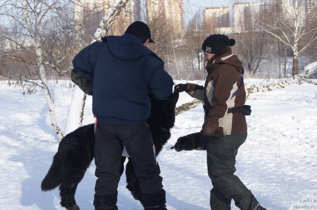 Фотография № 115581