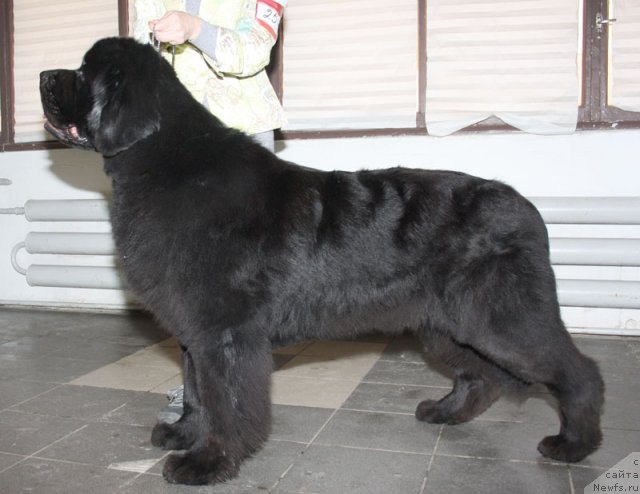 Фотография № 115584