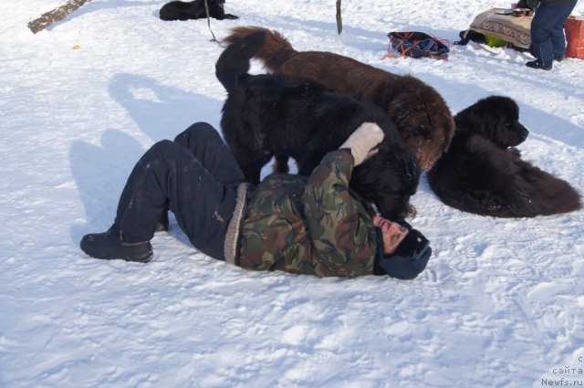 Фотография № 115594