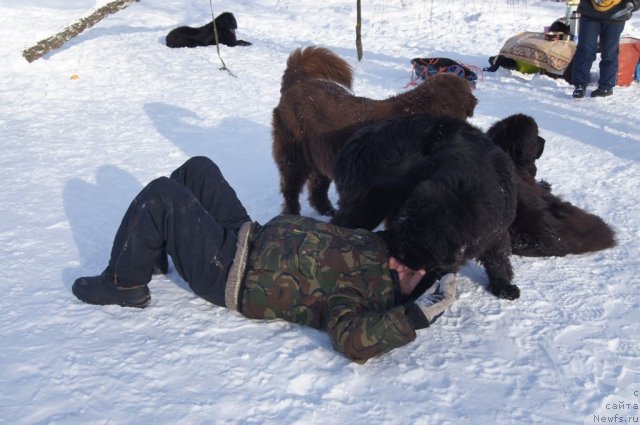 Фотография № 115595