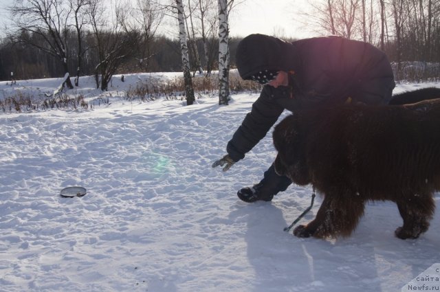 Фотография № 115597