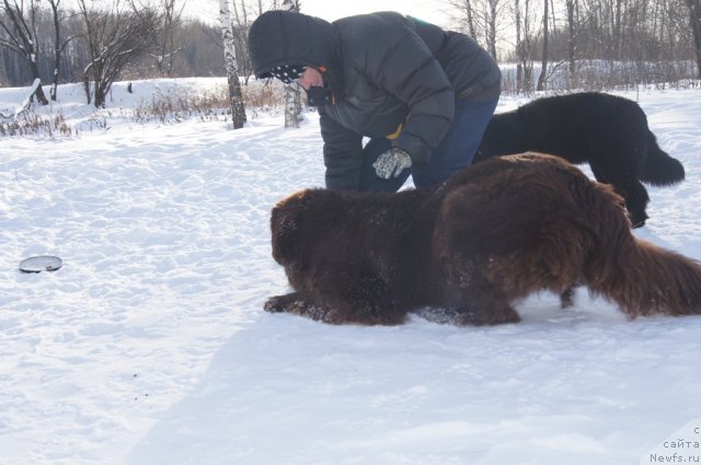 Фотография № 115599