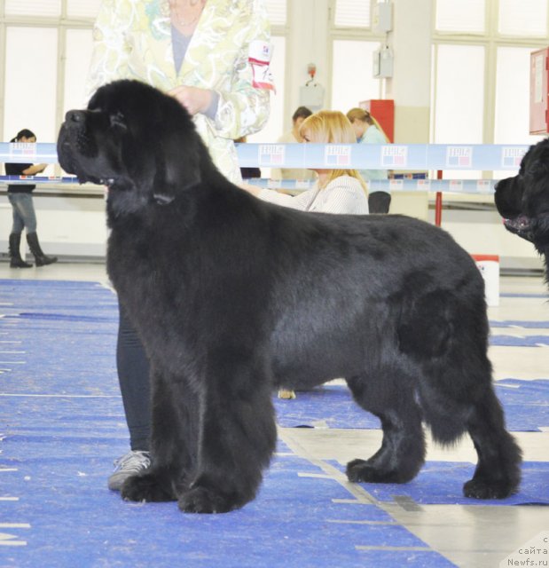 Фотография № 115604