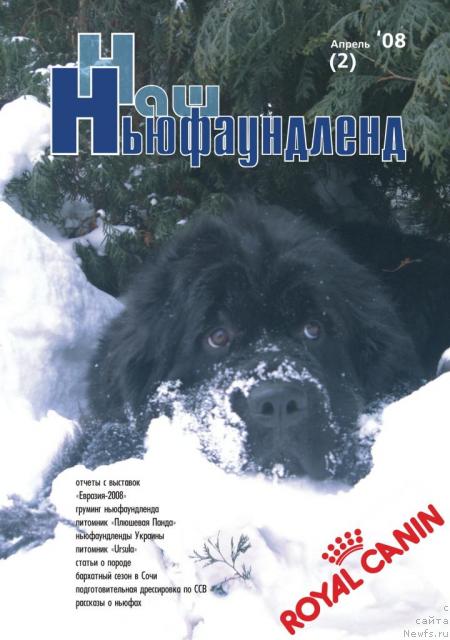 Фотография № 11561