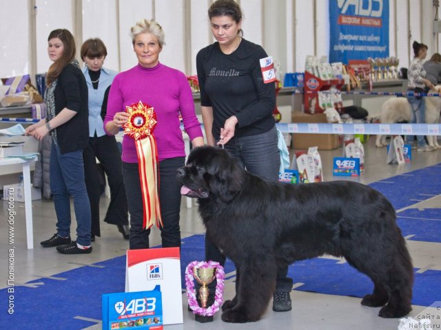 Фотография № 115611