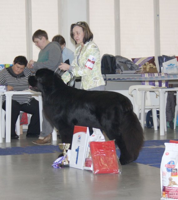 Фотография № 115614