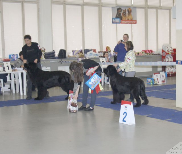 Фотография № 115615