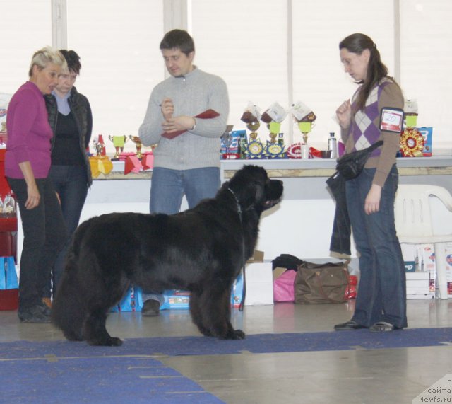 Фотография № 115620