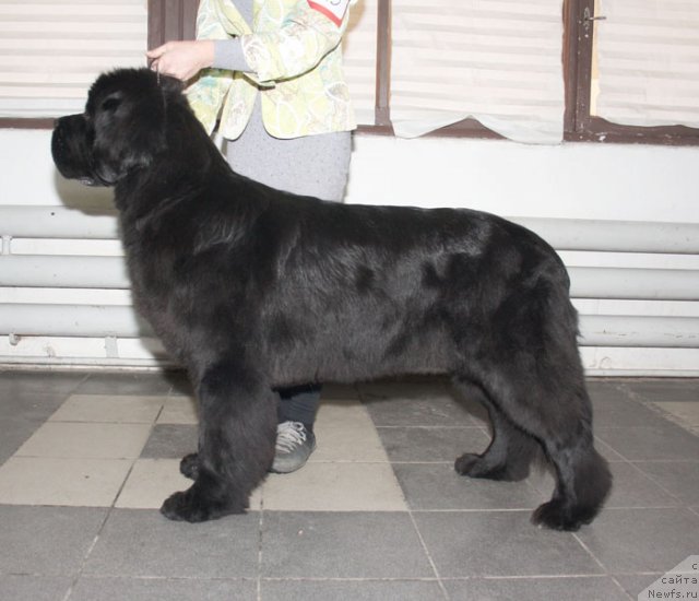 Фотография № 115623