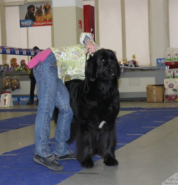 Фотография № 115624