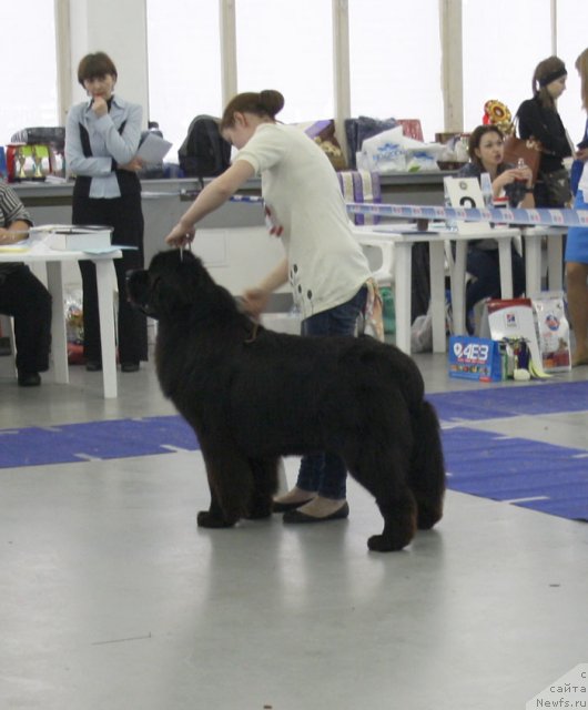 Фотография № 115634