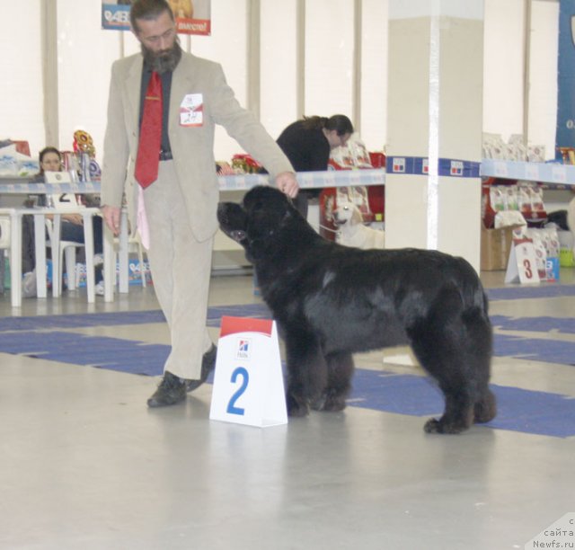 Фотография № 115636