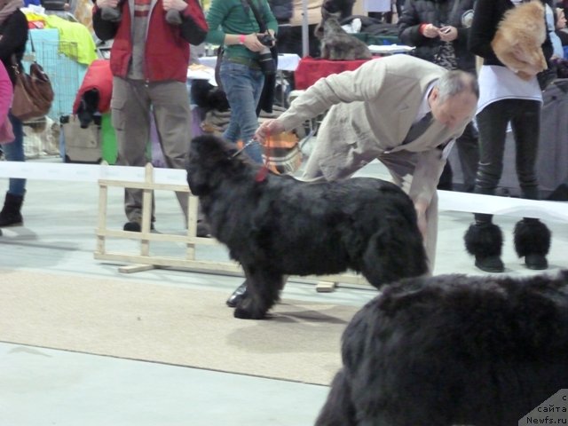 Фотография № 115661