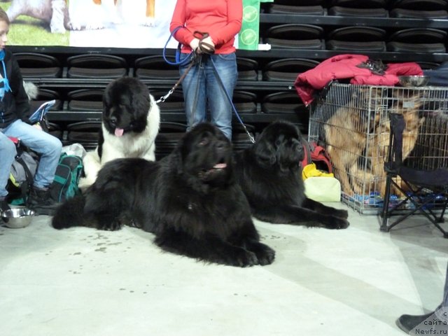 Фотография № 115662