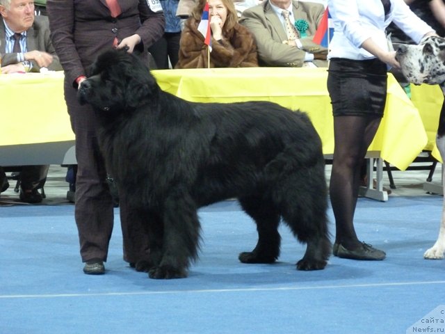 Фотография № 115663