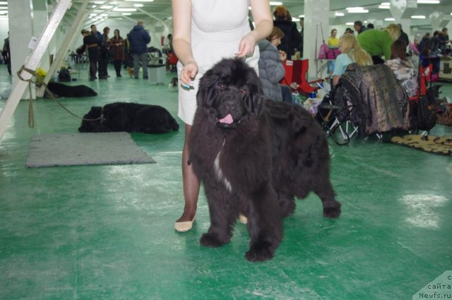 Фотография № 115667