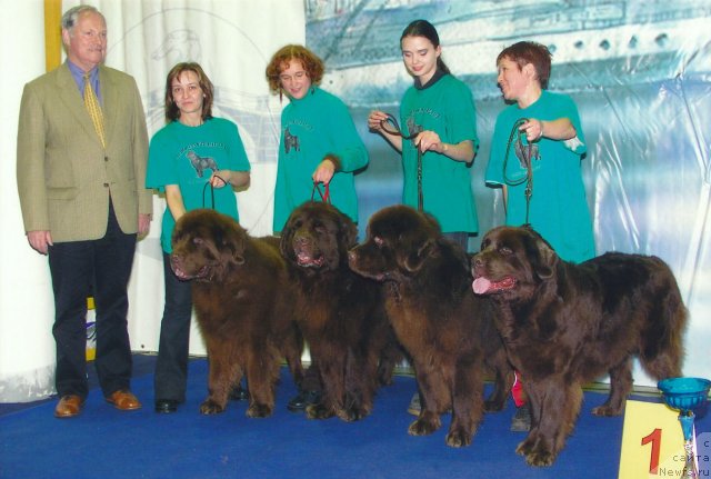 Фото: ньюфаундленд Smigar Sven Brown (Смигар Свен Браун), Ol'ga Koroleva (Ольга Королева), ньюфаундленд Smigar Afanasiy (Смигар Афанасий), Lyubov' Jakova (Любовь Жакова), ньюфаундленд Smigar Nazareth (Смигар Назарет), Natal'ya Ivanova (Наталья Иванова), ньюфаундленд Smigar Olimpiada (Смигар Олимпиада), Tat'yana YAkovleva (Татьяна Яковлева)