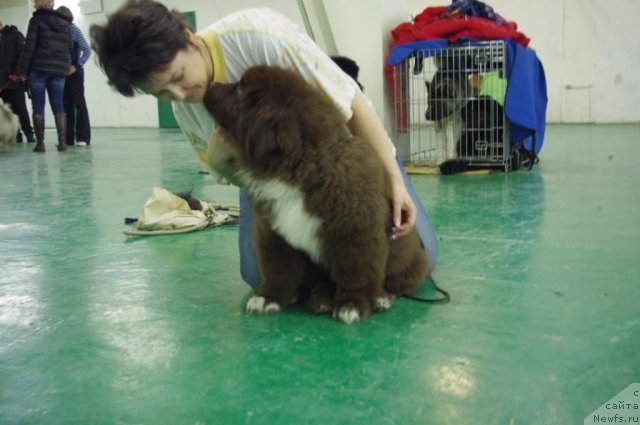 Фотография № 115670