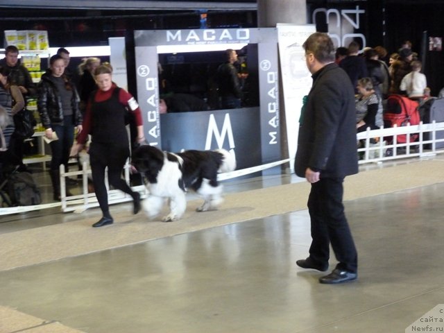 Фотография № 115673