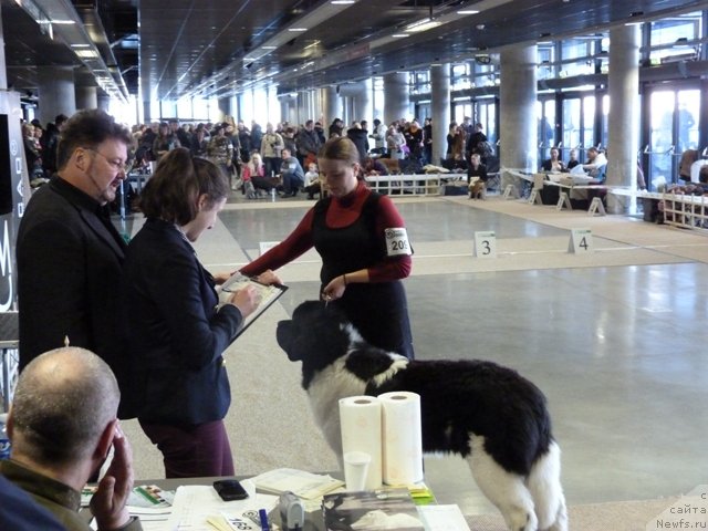 Фотография № 115674