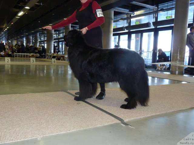 Фотография № 115675