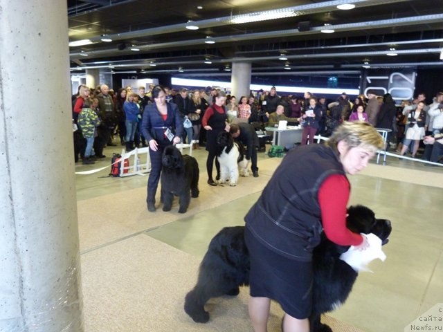 Фотография № 115676