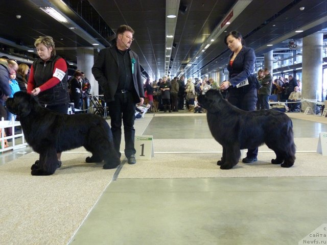 Фотография № 115677