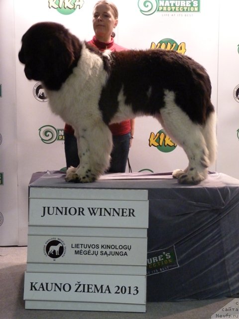 Фотография № 115678