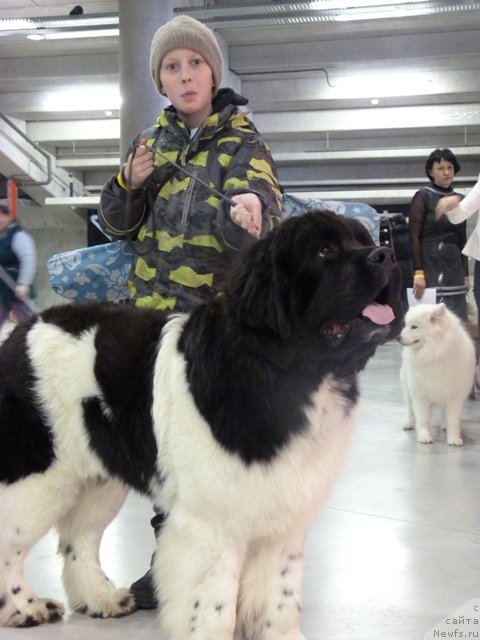 Фотография № 115679