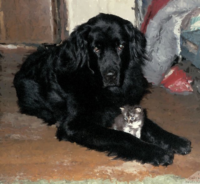 Фотография № 115682