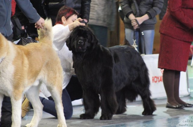 Фотография № 115693