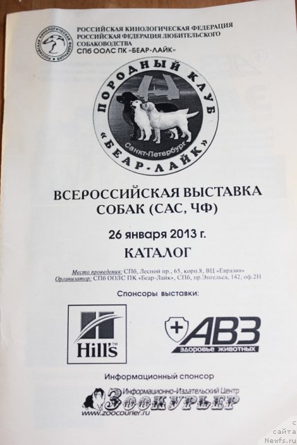 Фотография № 115706